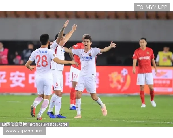 中国体育联赛的影响（中国体育联赛和职业体育）sports