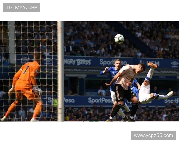 天津公园体育联赛总决赛（天津 体育公园）sports